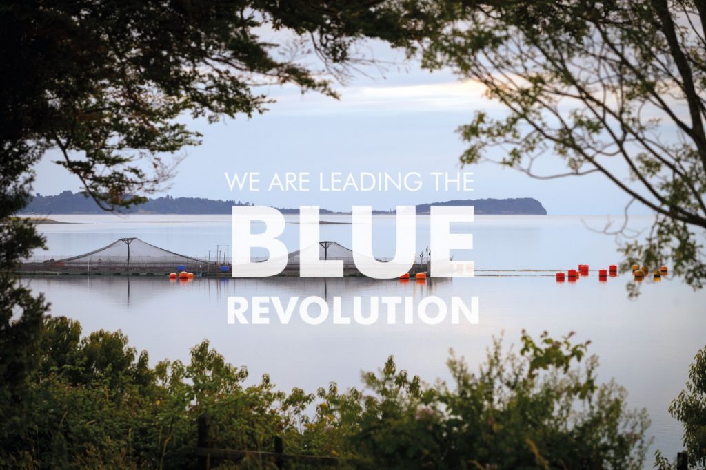 Stojąc na czele Niebieskiej Rewolucji